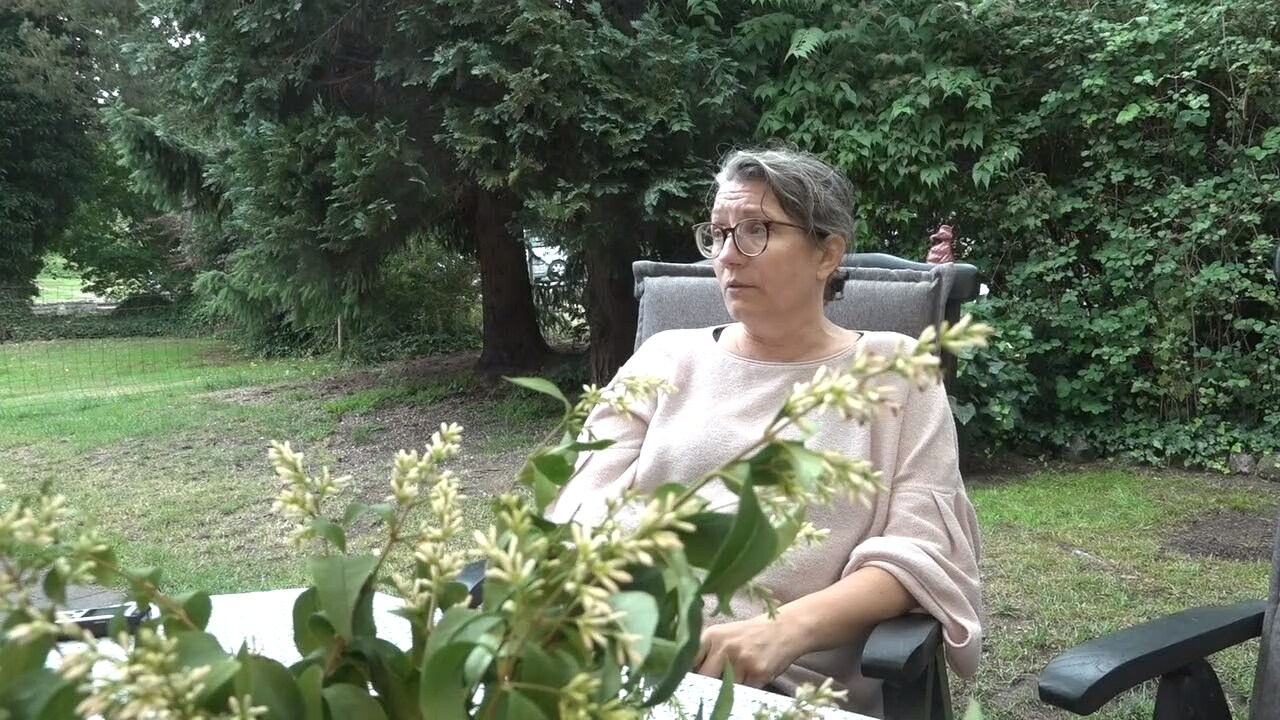 Anettes hem invaderas av fåglar: "Det är lite äckligt"