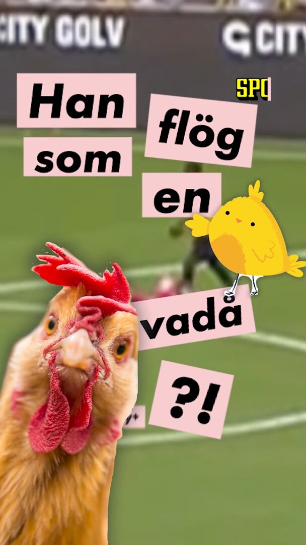 Sadiq: "Han dök som en kyckling"