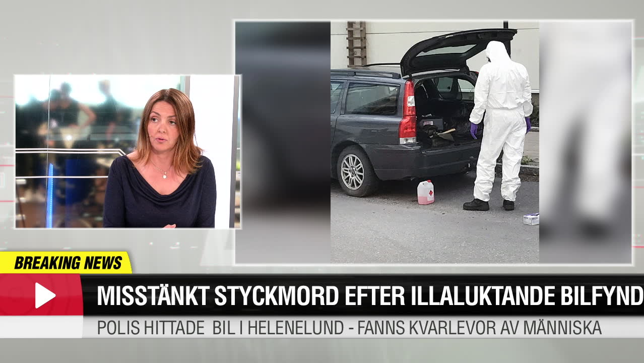 Misstänkt för styckmord: ’Gjorde det för ett år sedan’