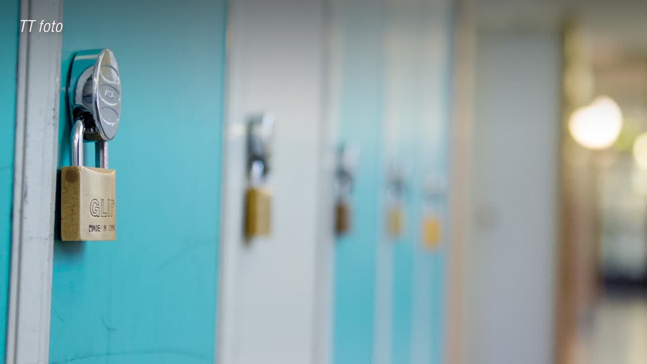 Anna Book utsatt för hatattack