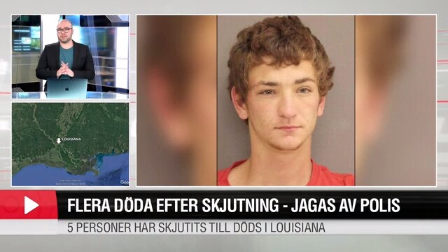 Flera döda efter skjutningar i USA