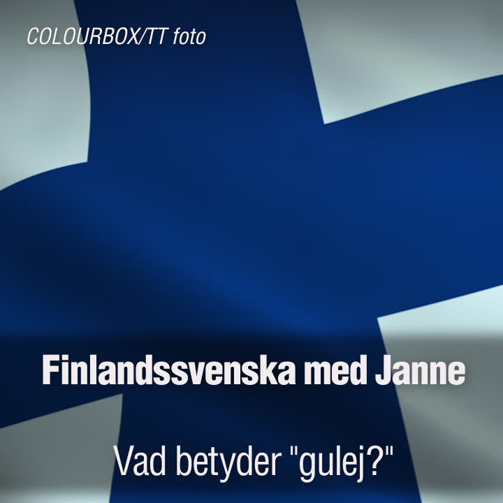 Finlandssvenska med Janne Grönroos - vad betyder "gulej"?