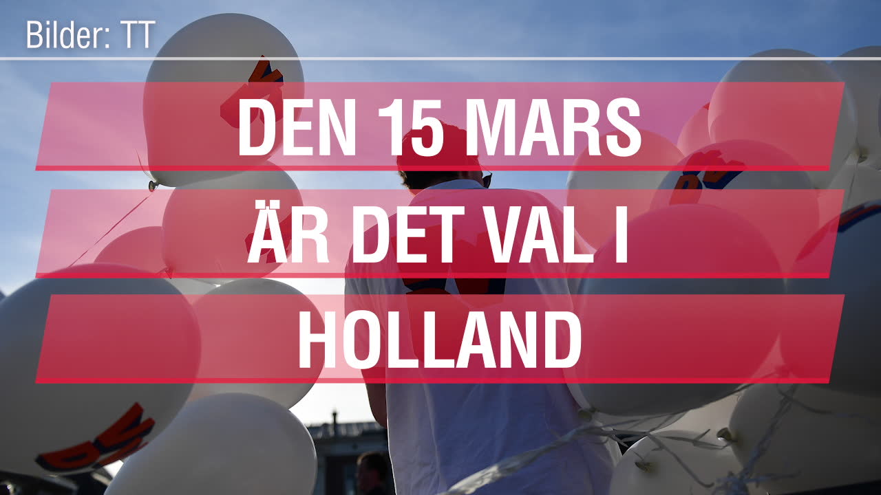 Så går valet i Nederländerna till