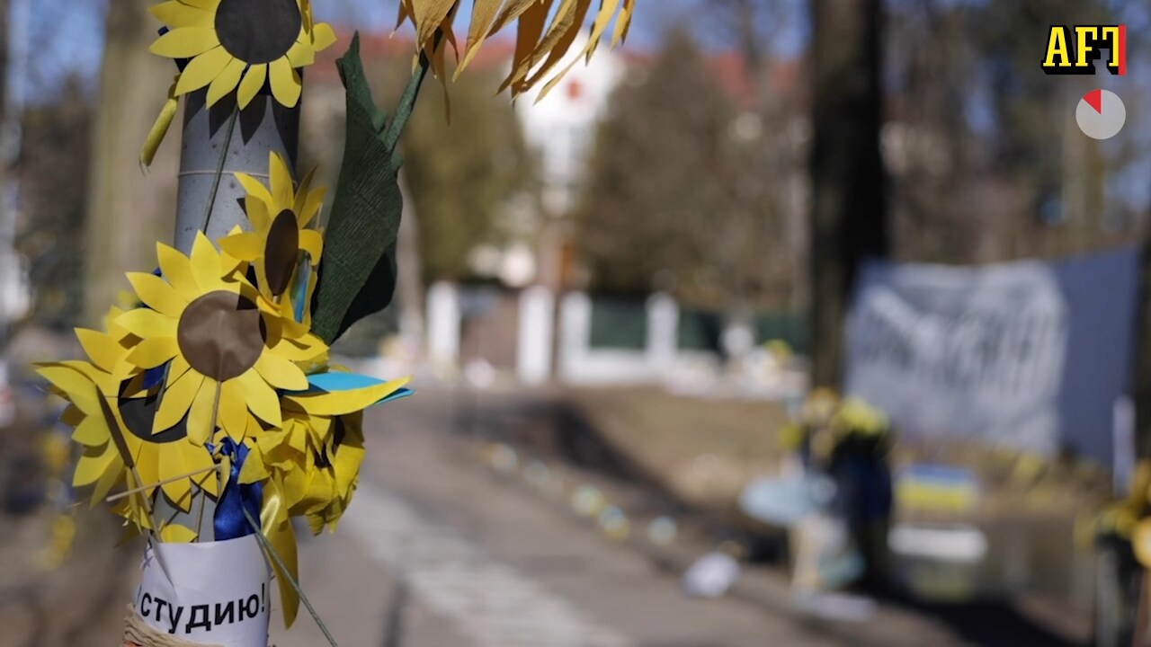 Litauer oroliga över läget i Ukraina: ”Vi måste förbereda oss”
