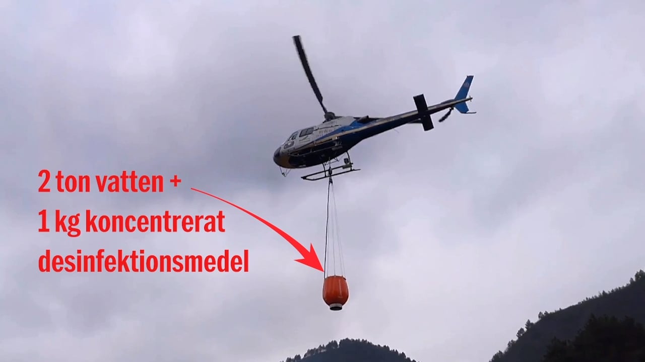 Här släpper helikoptern två ton desinfektionsmedel för att stoppa Corona