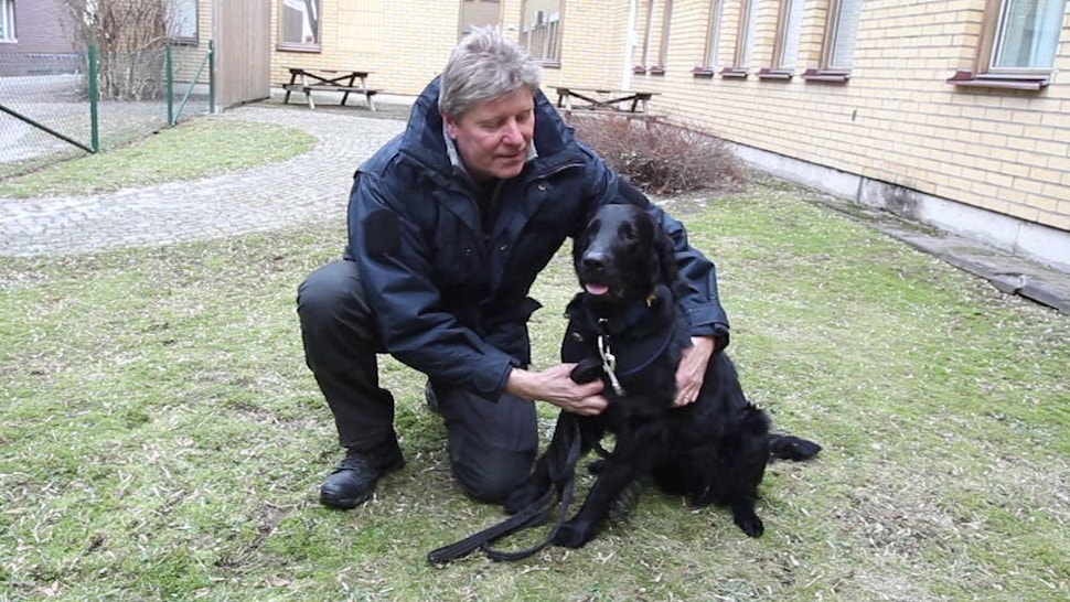 Polishunden Brasse ska sätta dit våldtäktsmännen