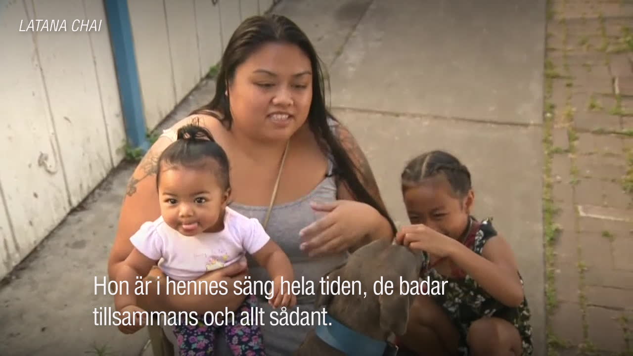 Hundens tidiga reaktion räddade familjen