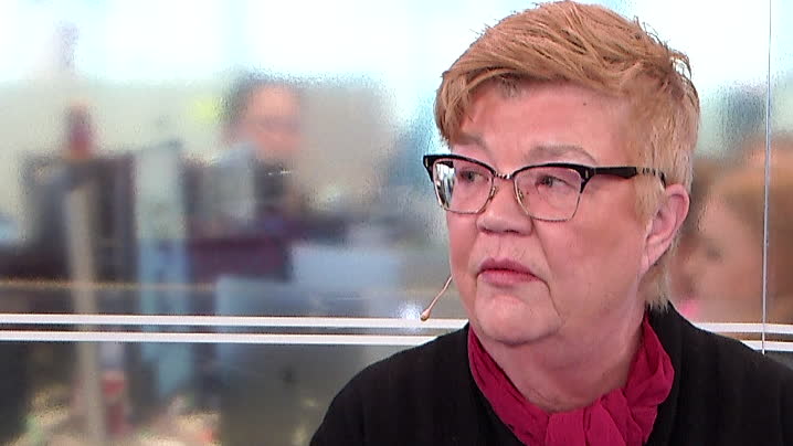 Lena Mellin om relationen mellan Alliansen och (C) :”Det gnisslar får man säga"