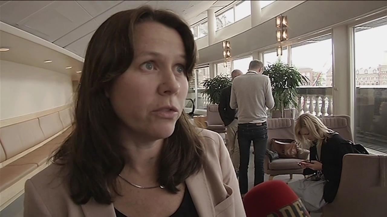 Krafter i MP ville peta Romson redan förra året