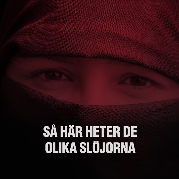 Burka, niqab och hijab – så ser de ut