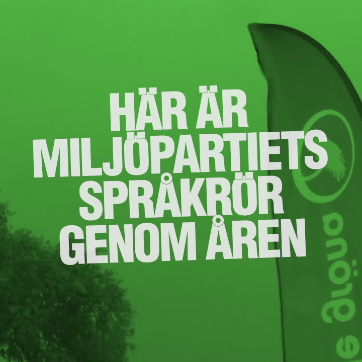 De har varit Miljöpartiets språkrör genom åren