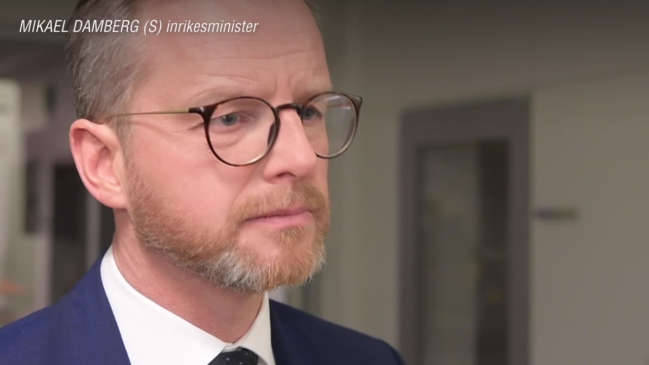 Mikael Damberg (S): välkommet med interndebatt