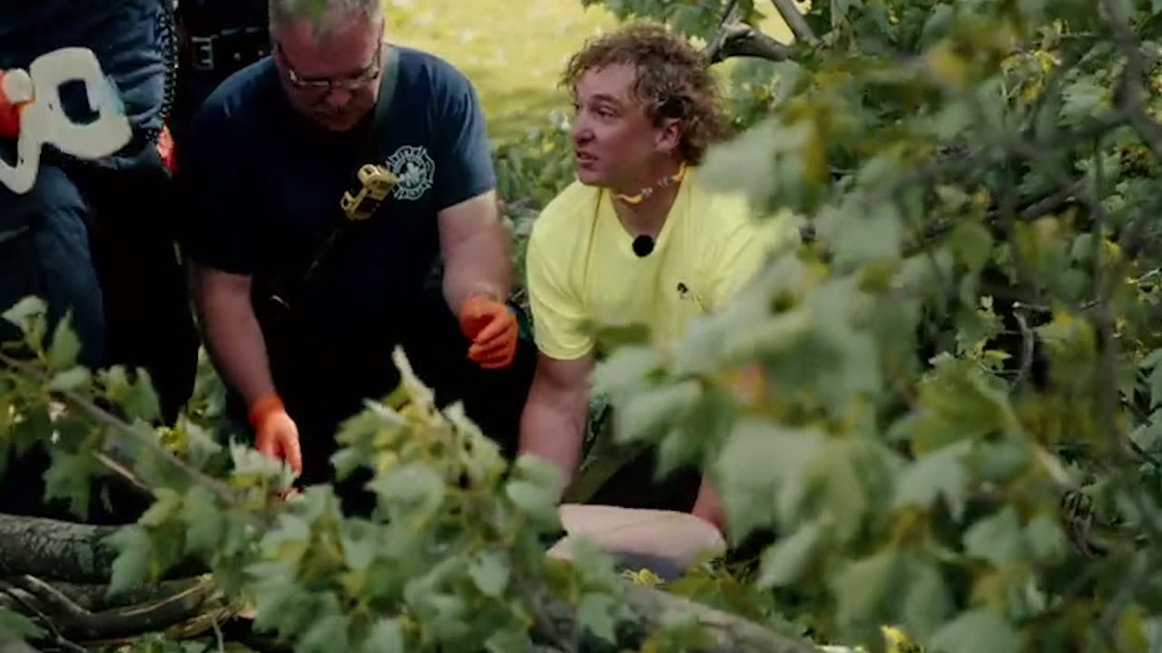 Träd föll över kvinna - se dramatiken från inspelningen här