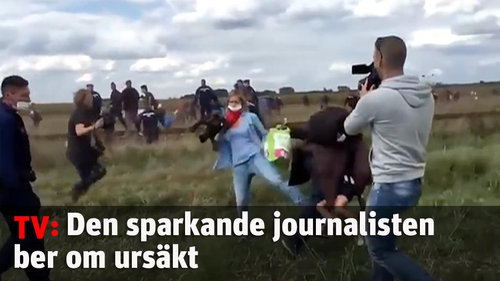 Den sparkande journalisten ber om ursäkt