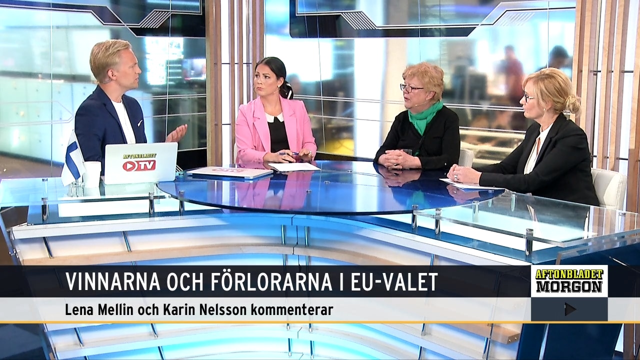 Vinnarna och förlorarna i EU-valet