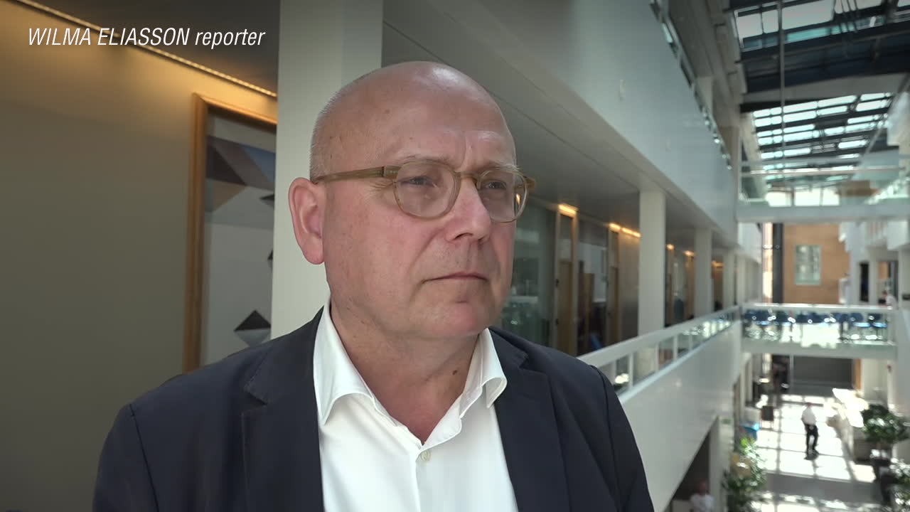 Terrorforskaren om ökningen av radikala islamister