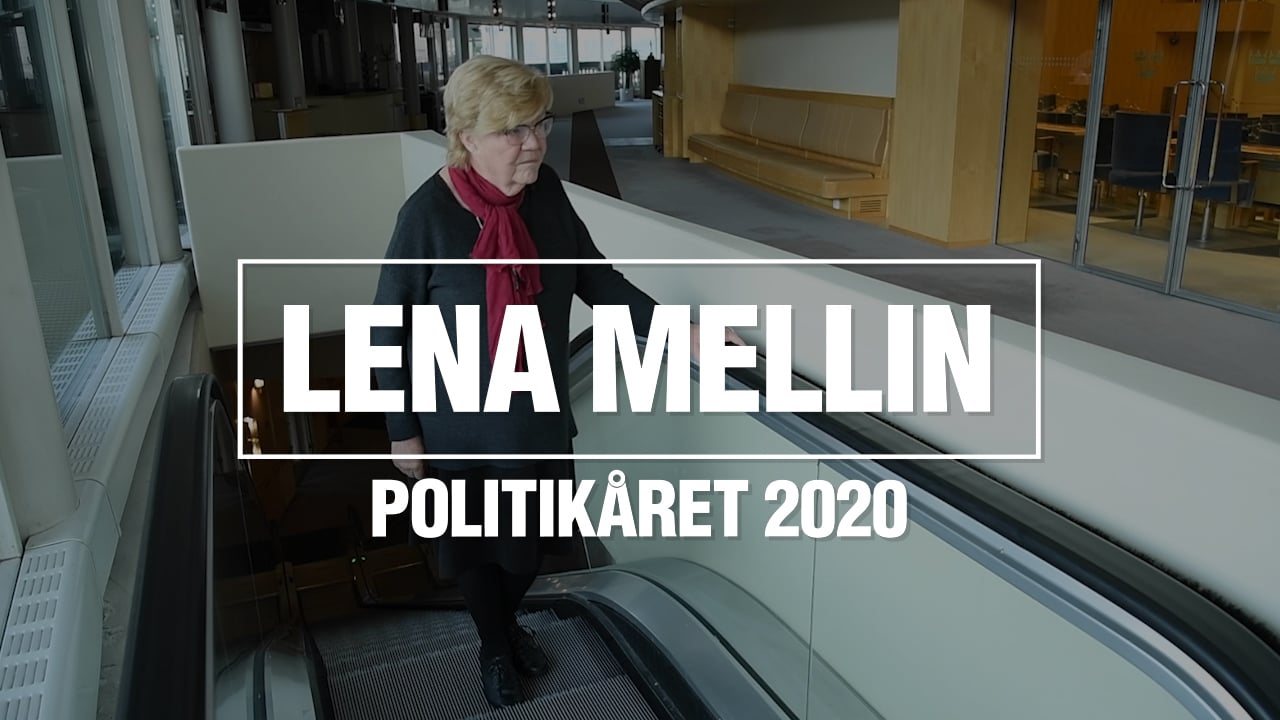 Lena Mellin: Så blir politikåret 2020