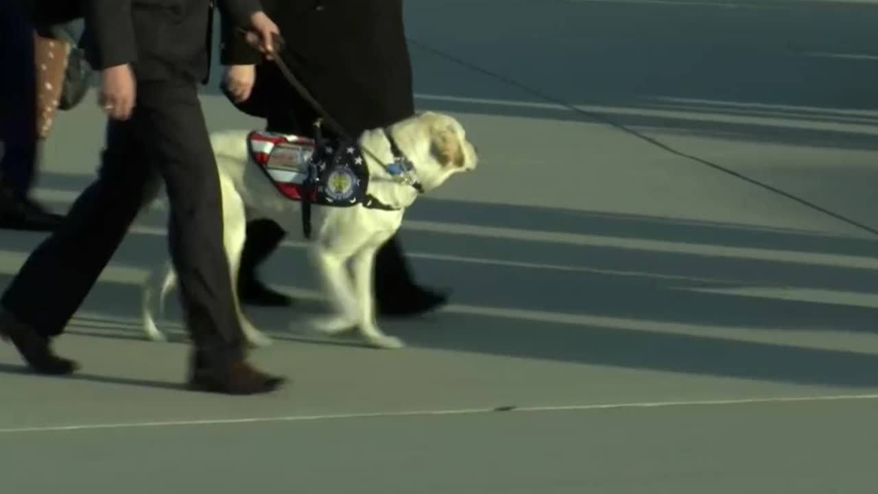 Hunden Sally var presidenten trogen in i döden
