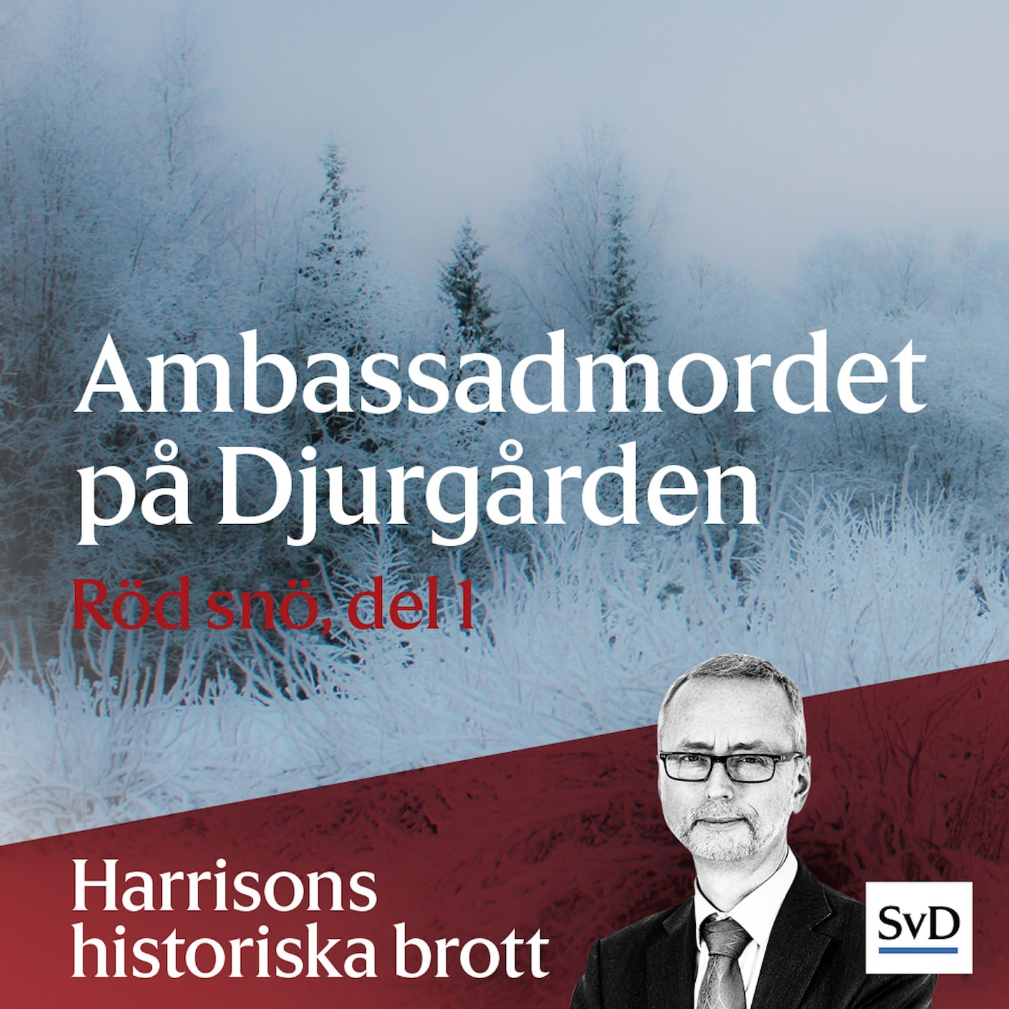 Ambassadmordet på Djurgården (Röd snö, del 1)