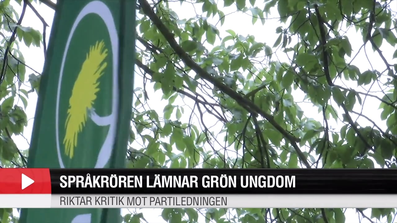 Språkrören lämnar Grön ungdom