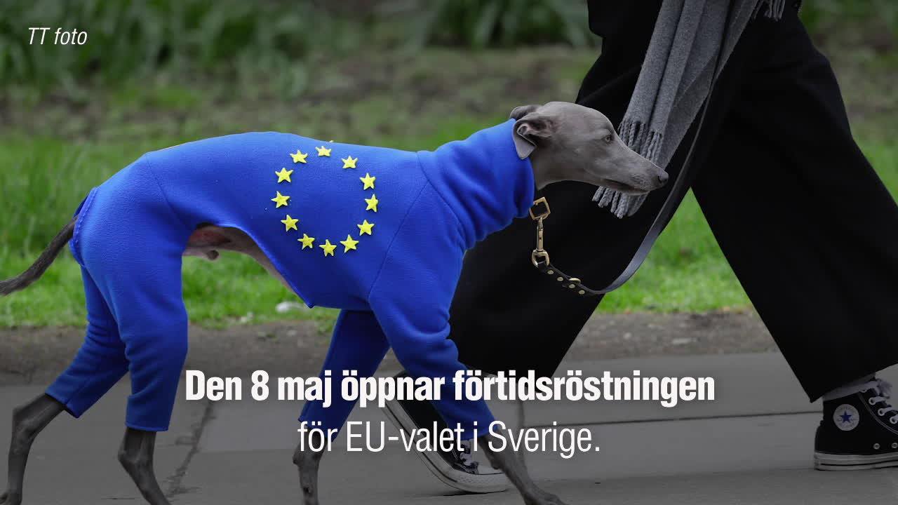 Så funkar valet till EU-parlamentet