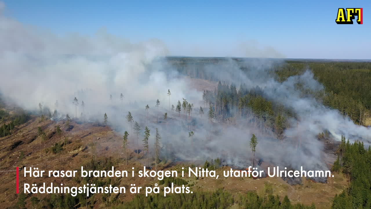 Här rasar skogsbranden i Nitta