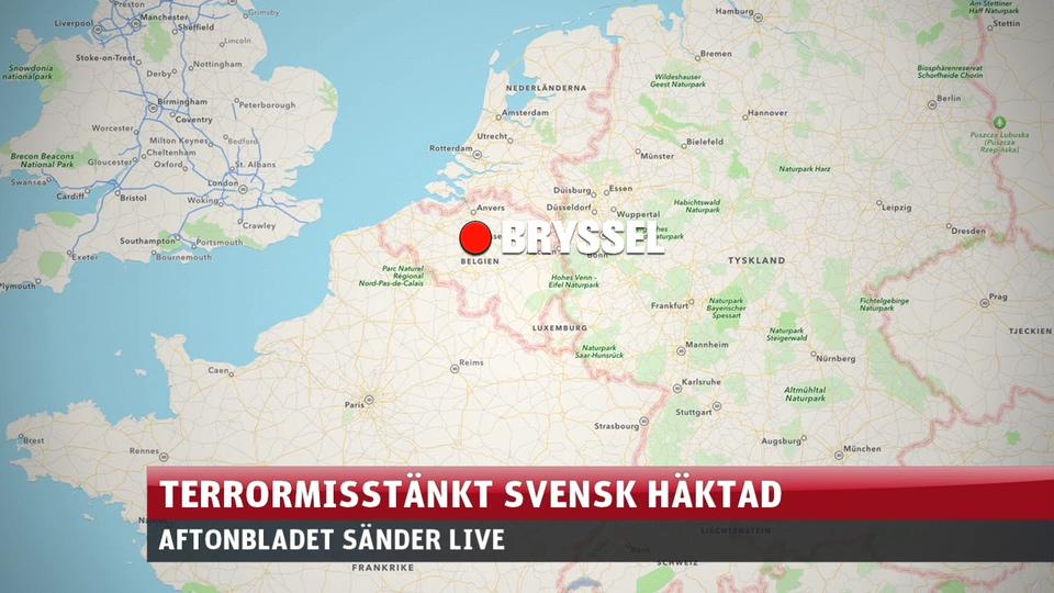 Svensk häktad i Bryssel - misstänkt för terror