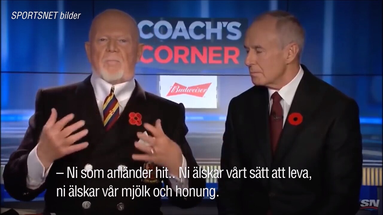 Ökända experten sparkad efter rasistkommentaren