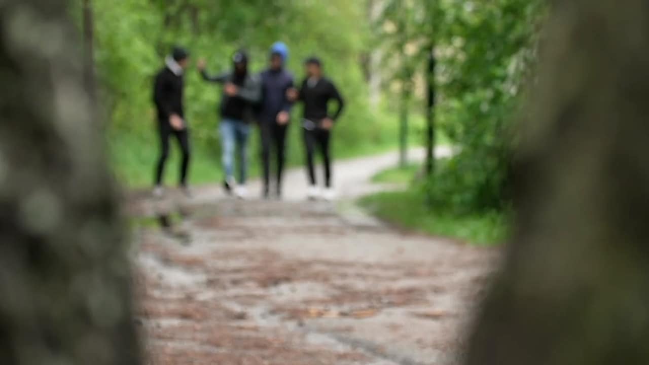 Efterlyst: Amanda överfölls på hundpromenaden – fyra unga män söks av polis