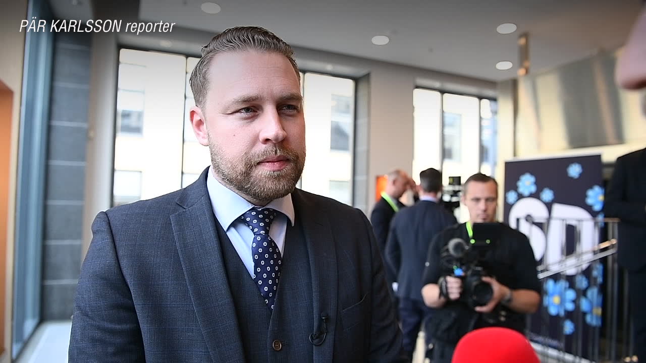 Mattias Karlsson (SD): Vi har sett att det finns problem