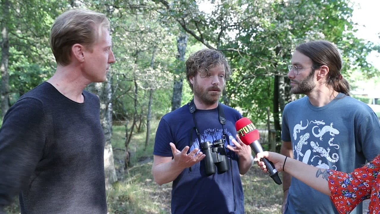 Författaren om nya boken: "En snabbguide till Stockholms natur"