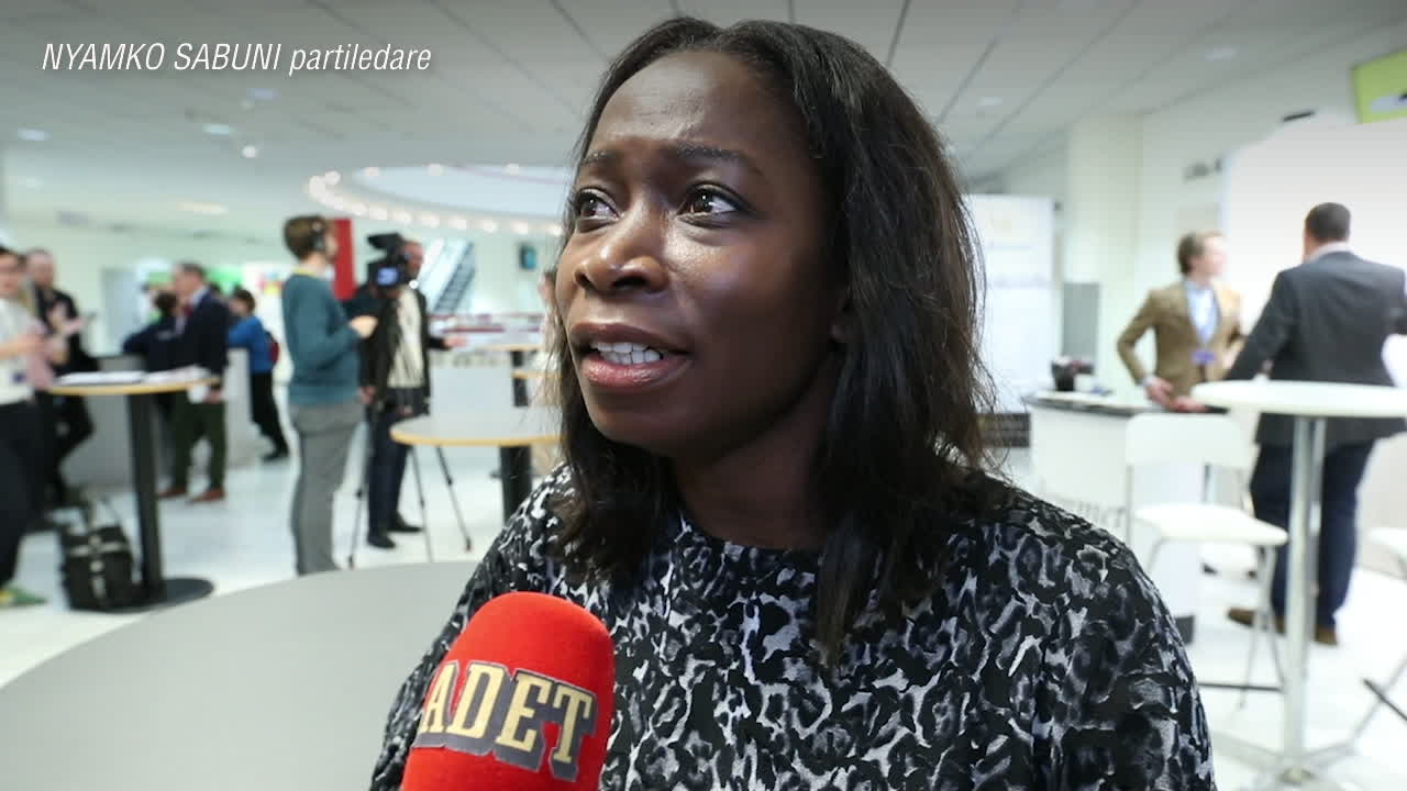 Nyamko Sabuni: "Vi har varit upptagna med interna konflikter"