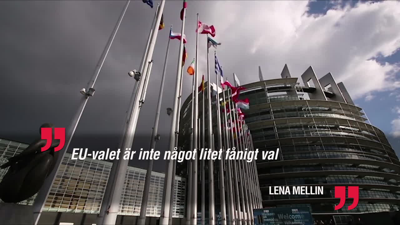 Lena Mellin: ”Därför ska du rösta i EU-valet”