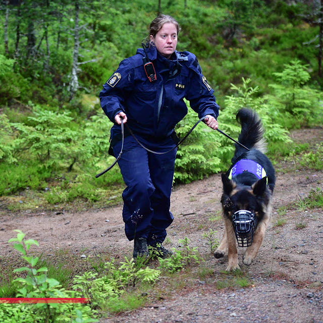 Så många människor försvinner varje år