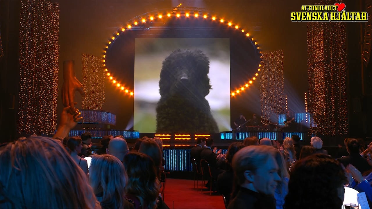 Här tar hunden Hera emot sitt pris på scenen
