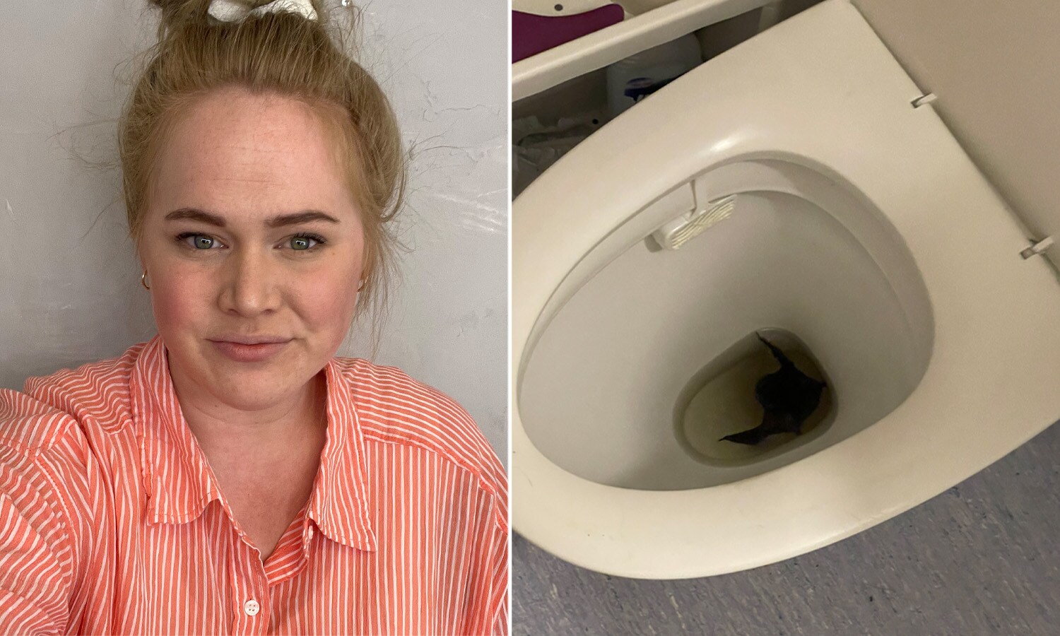 Josefines udda upptäckt – fladdermus i toaletten