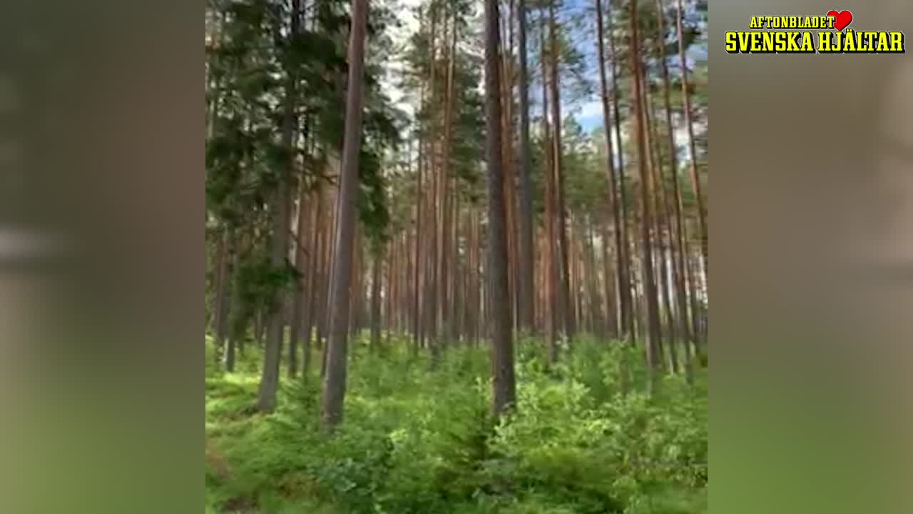 Fyrabarnsmamman Terese byggde koja med sina barn i skogen