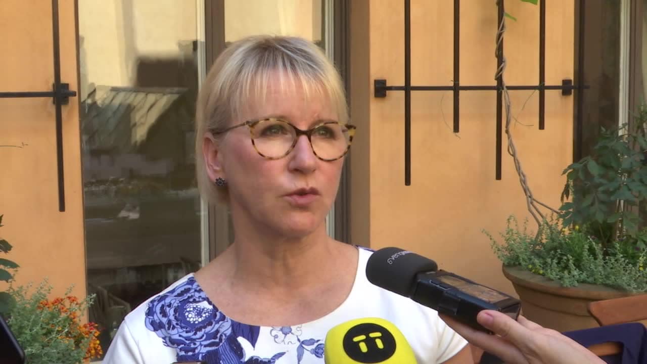 Svenska ministrar åker till VM