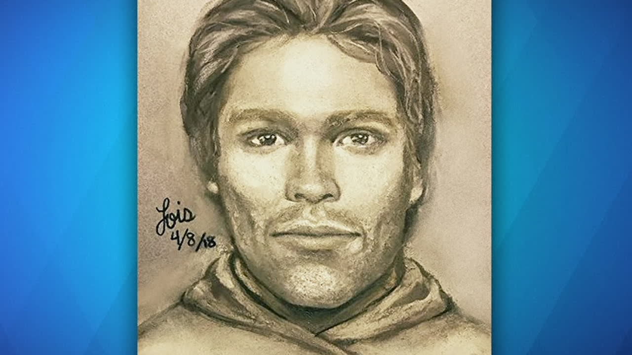 Här är Stormy Daniels teckning på mannen som påstås hotat henne