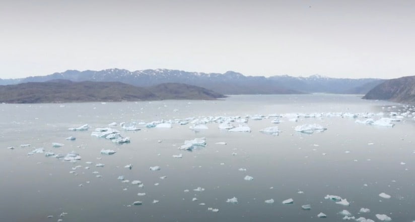 Bakterier frossar i värmen