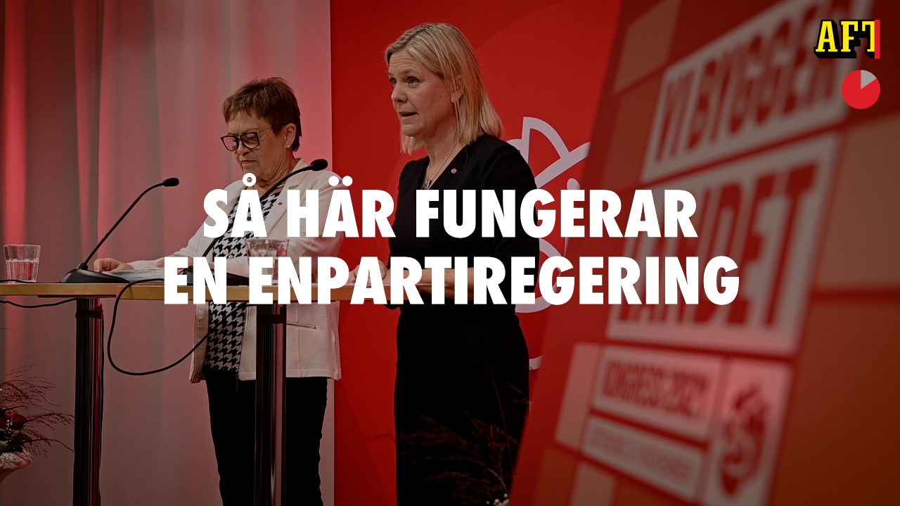 Enpartiregering - fördelar och utmaningar