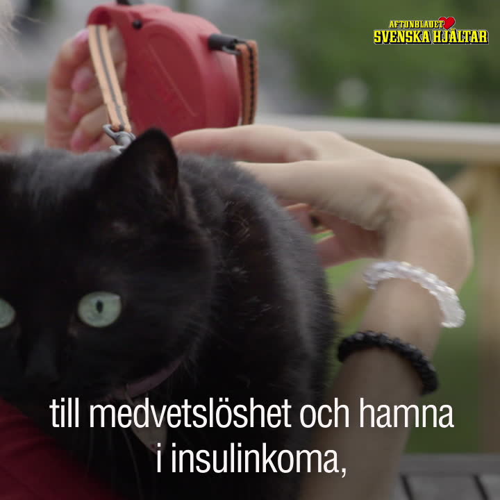 Katten Stumpan har räddat Malin – 10 gånger