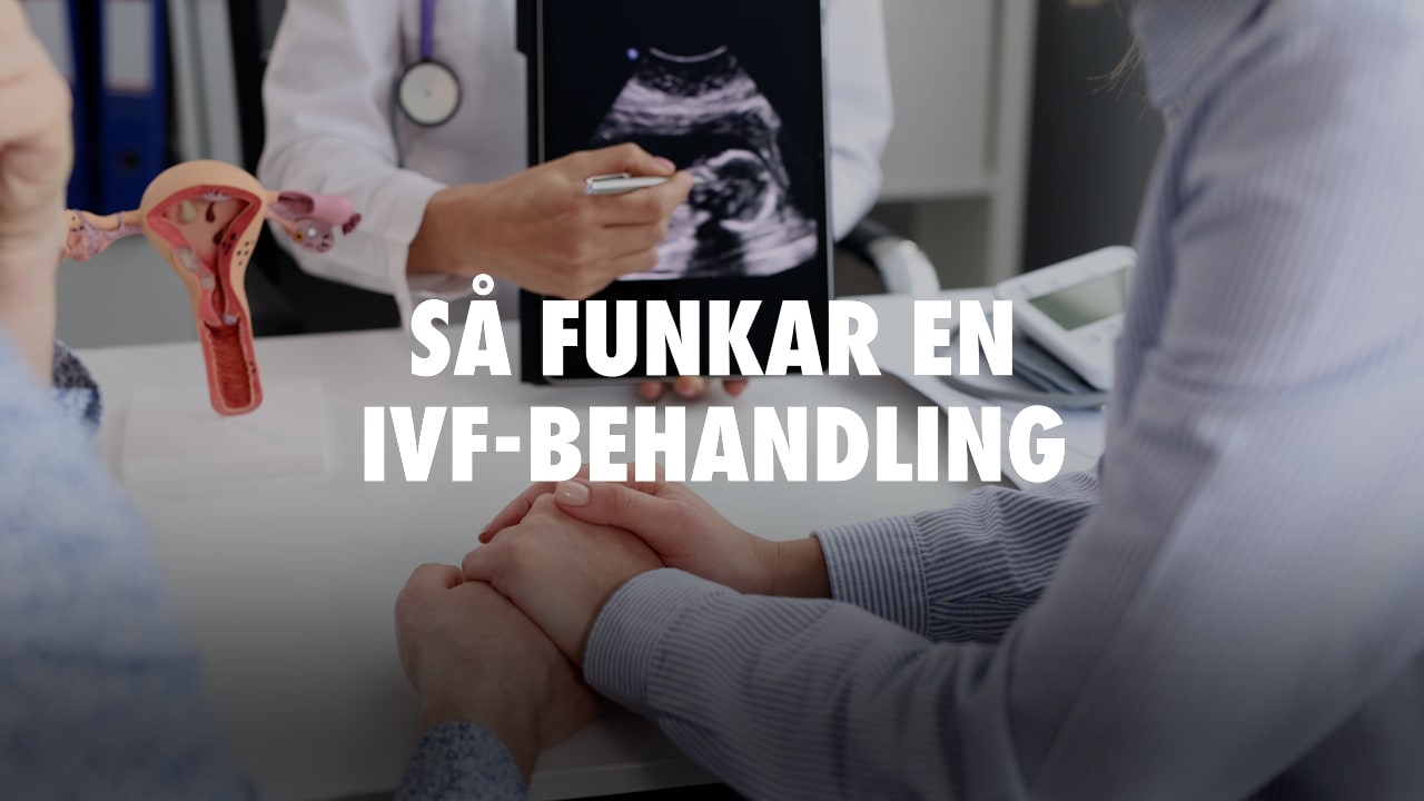 Så funkar en IVF-behandling