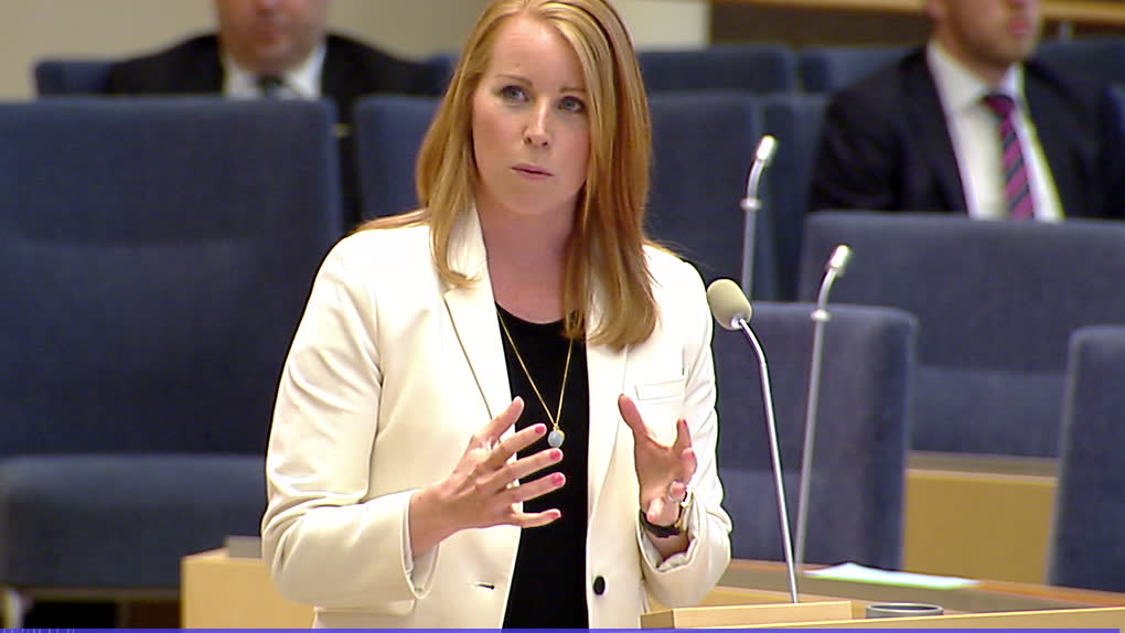 Se Annie Lööfs islamattack på Jimmie Åkesson