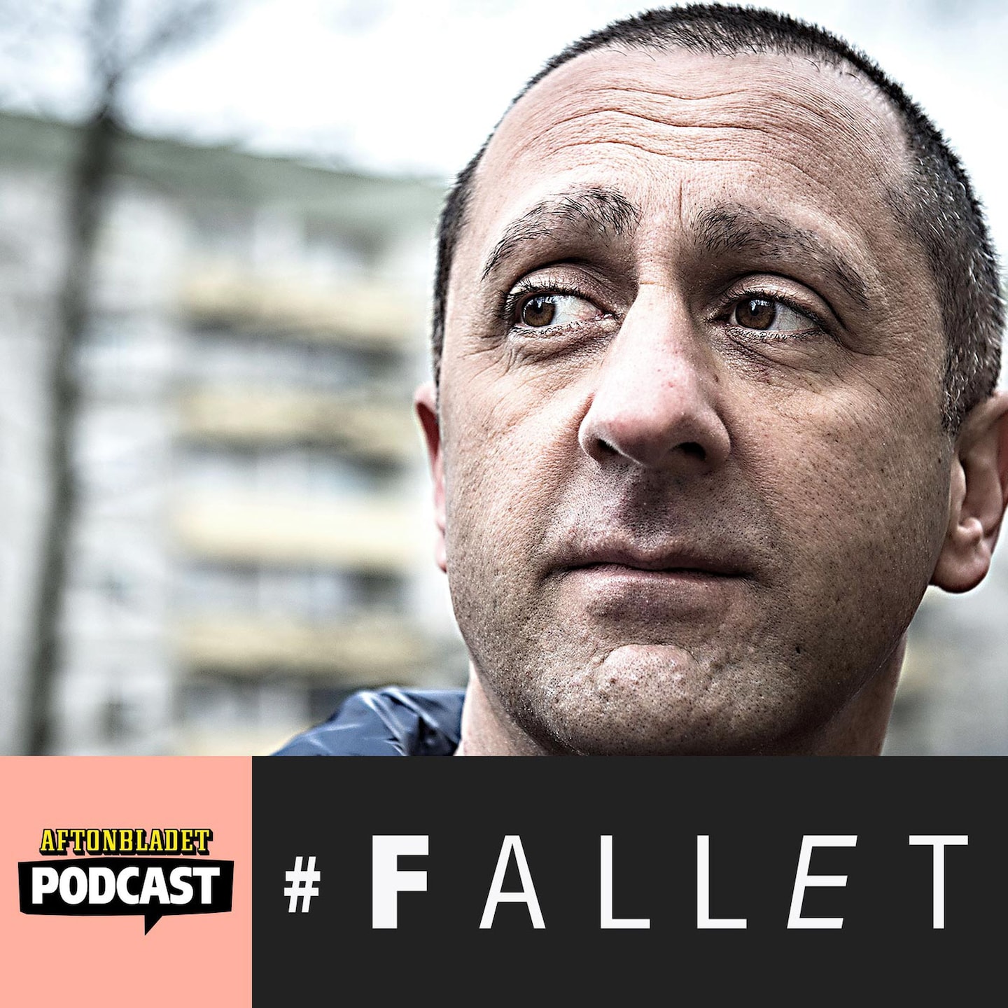 11 - Bilden av Samir episode artwork