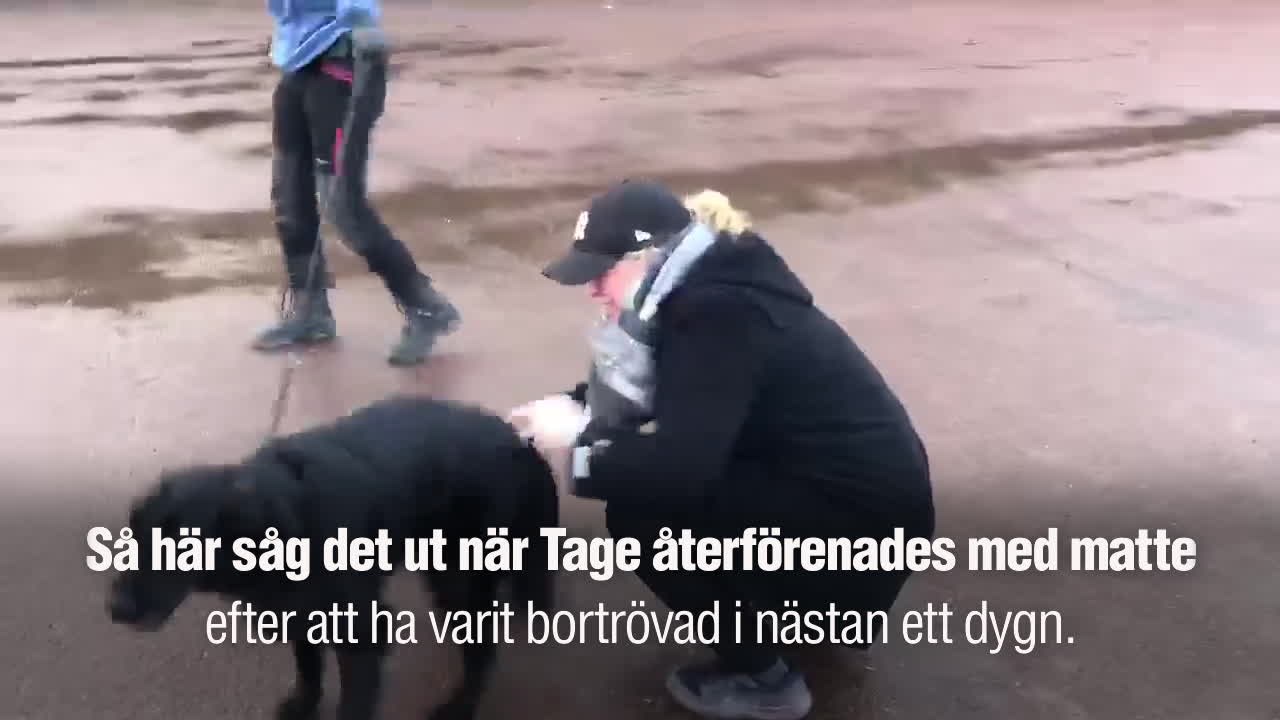 Här återförenas Tage och Emelie – efter ett dygn