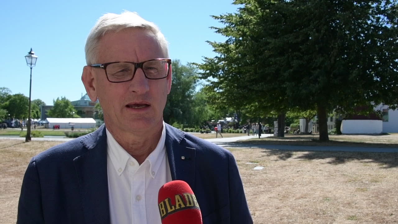 Carl Bildt: “Direkt farligt att gå ur EU"