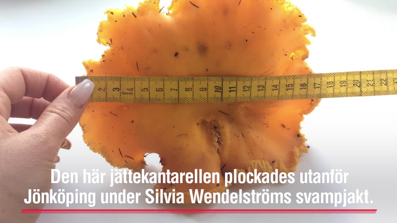 “Lika stor som min mans ansikte”