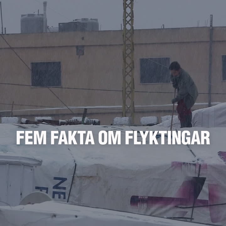 Fem fakta om flyktingar