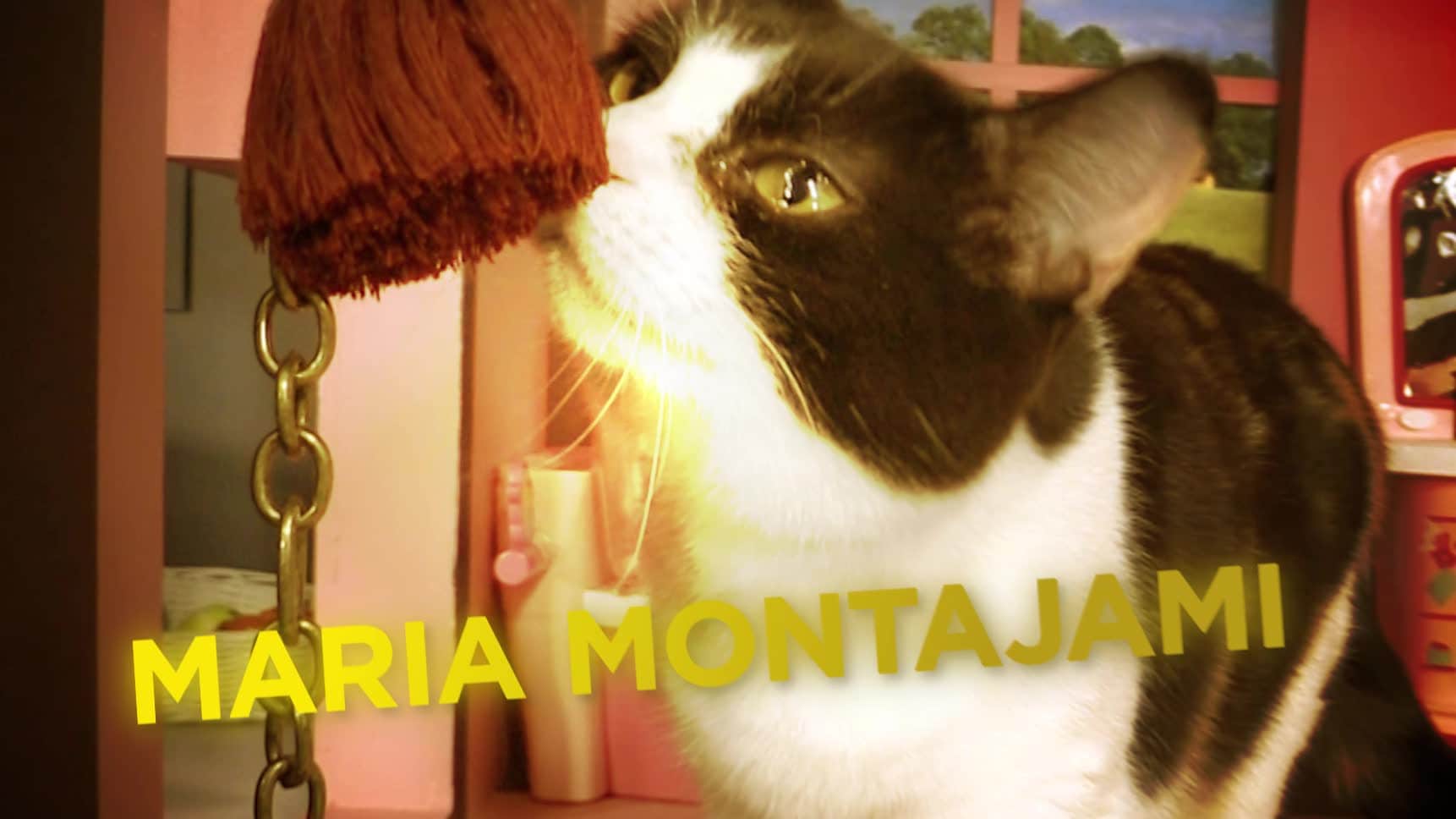 Vill du adoptera Maria Montajami?